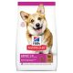 Hills Science Plan Canine Adult Small & Miniature Lamb & Rrice 300 g