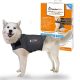 ThunderShirt nyuható mellény kutyáknak M