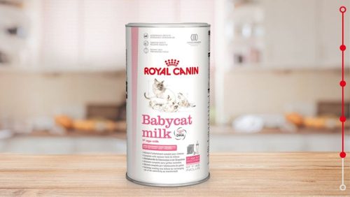 Royal Canin Babycat milk 300g