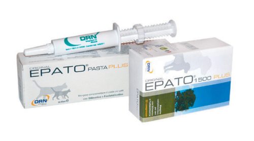 Epato Plusz paszta 2X15 ml